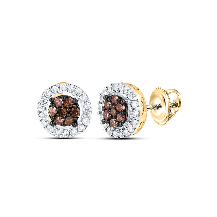 10k Yellow Gold Womens Brown Diamond Flower Cluster Screwback Stud Earrings 1/4 Cttw