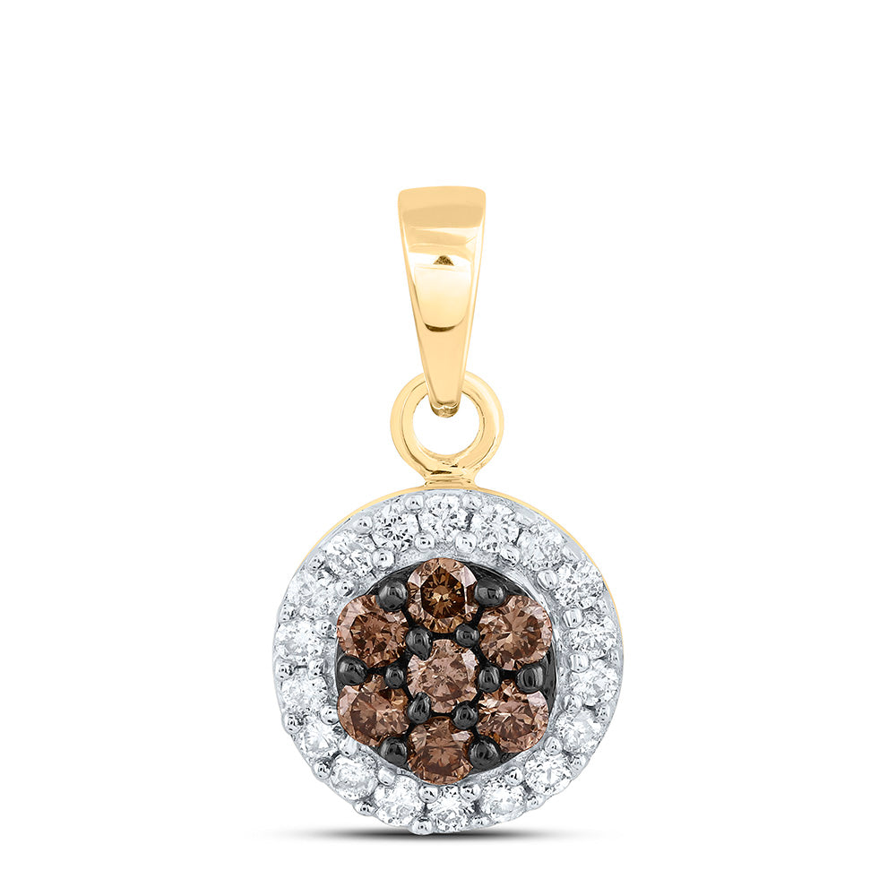 10kt Yellow Gold Women's Brown Diamond Framed Flower Cluster Pendant 3/8 ctw